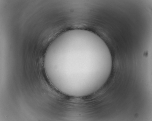 X0000112800079200908211012