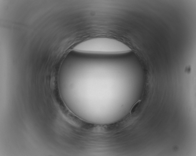 X0000112800080200908211012
