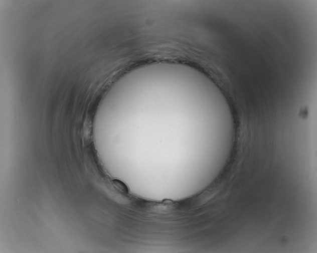 X0000112800081200908211012