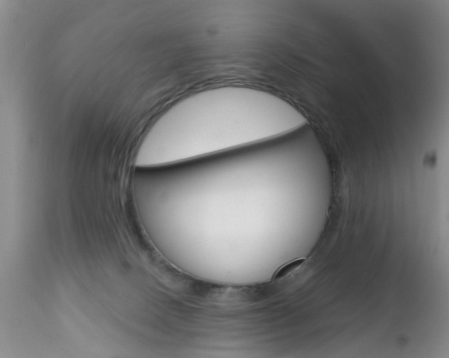 X0000112800082200908211013