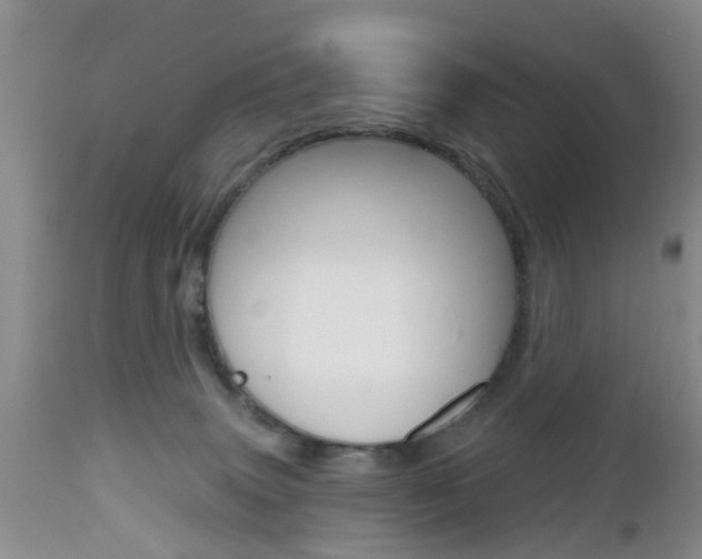 X0000112800083200908211013