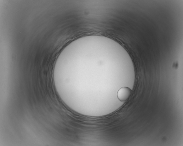 X0000112800084200908211013