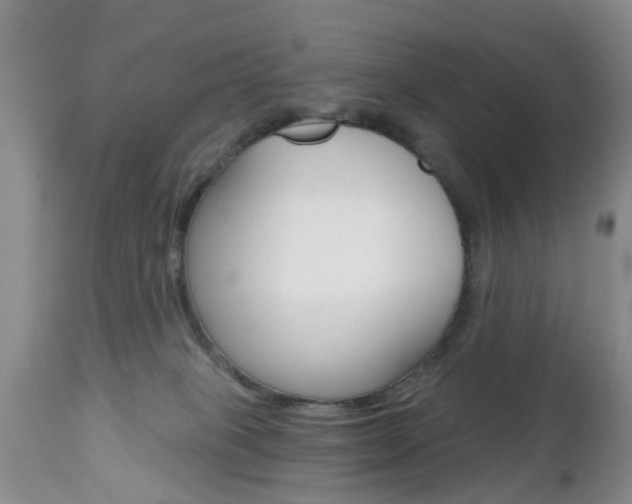 X0000112800085200908211013