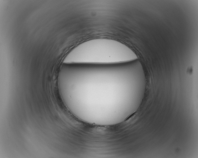 X0000112800086200908211013