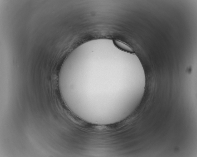 X0000112800087200908211013