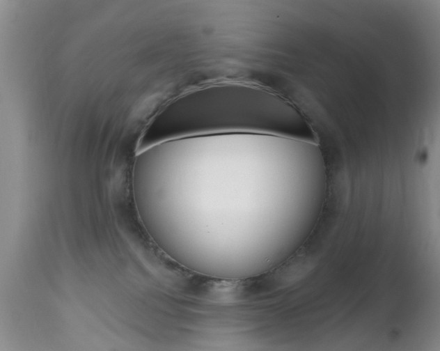 X0000112800088200908211013