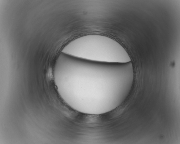 X0000112800089200908211013
