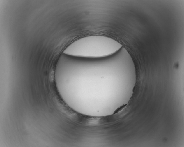 X0000112800090200908211013