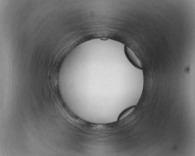 X0000112800091200908211013