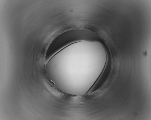X0000112800092200908211013