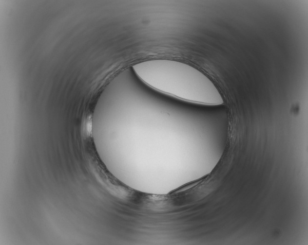 X0000112800095200908211013