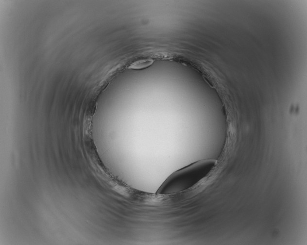 X0000112800096200908211013