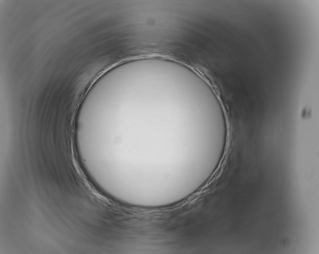 X0000112800097200908211012