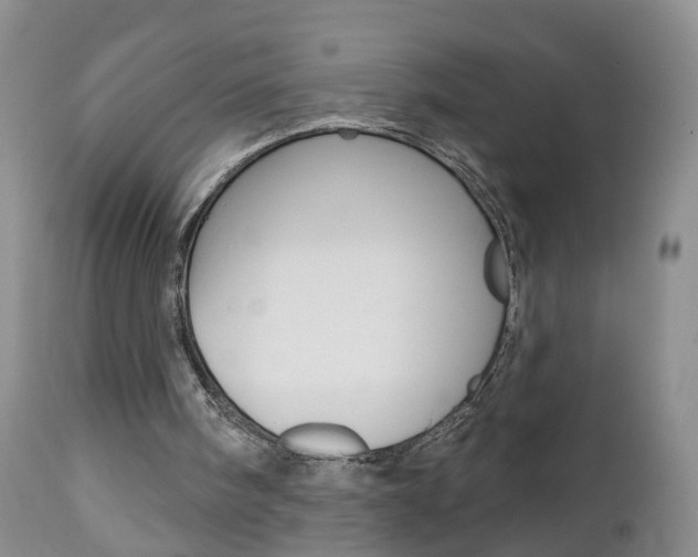X0000112800098200908211012