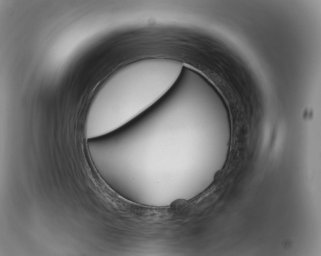 X0000112800099200908211012