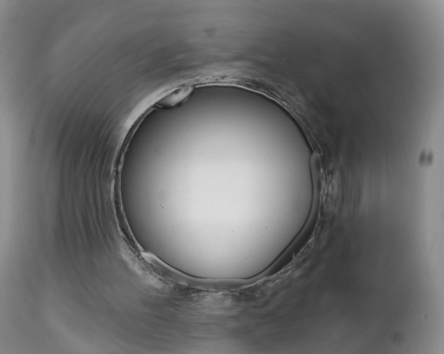 X0000112800100200908211012