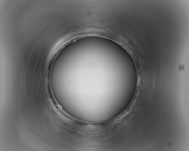 X0000112800101200908211012