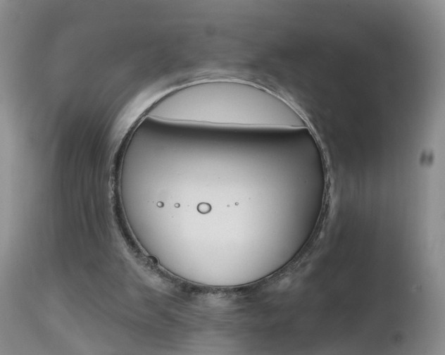 X0000112800103200908211012