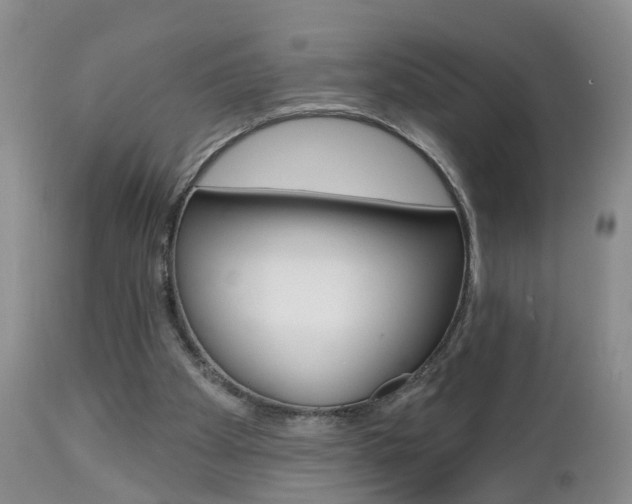 X0000112800105200908211012