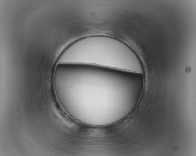 X0000112800107200908211012