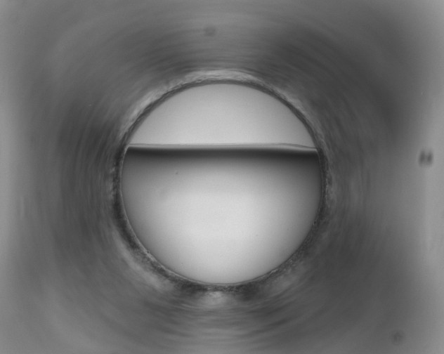 X0000112800111200908211012