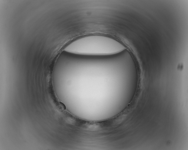 X0000112800113200908211012