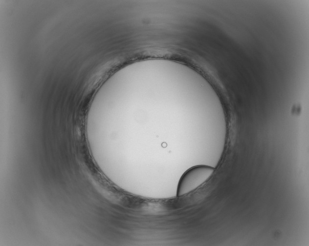 X0000112800114200908211012