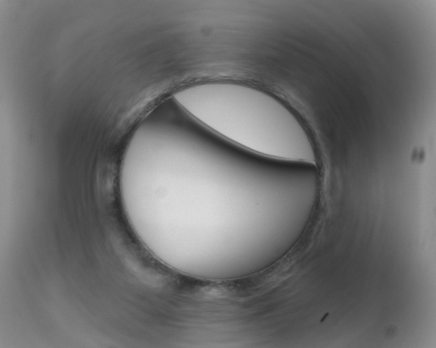 X0000112800115200908211012