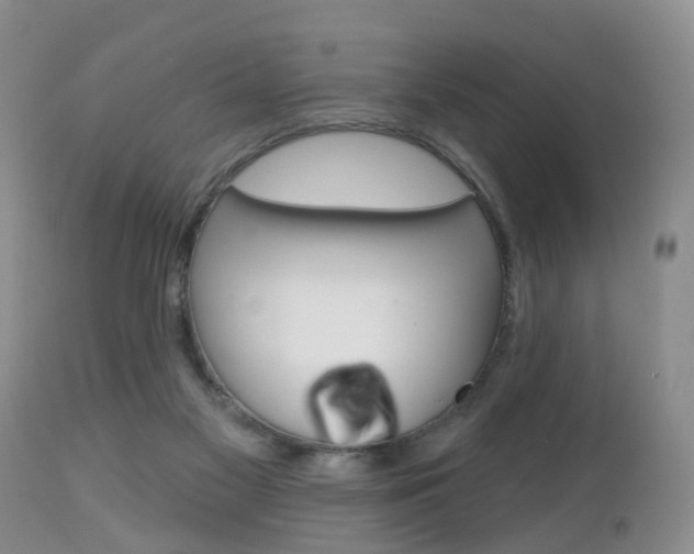 X0000112800117200908211012