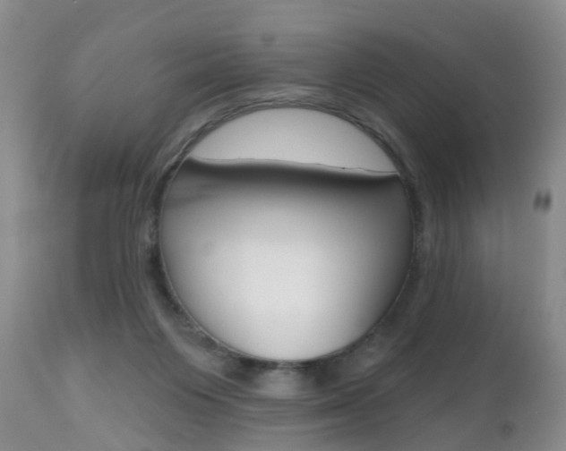 X0000112800119200908211012