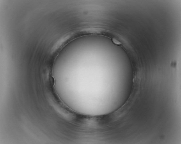 X0000112800120200908211012