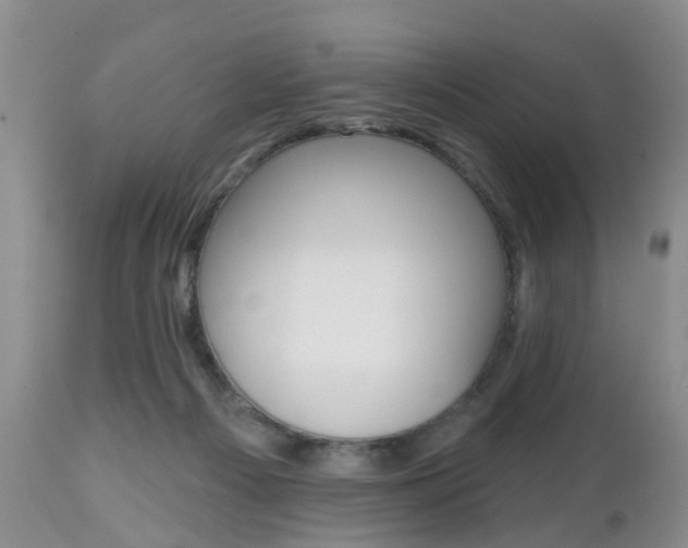 X0000112800121200908211012