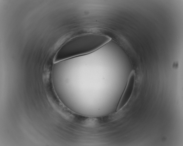 X0000112800124200908211012