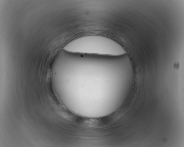 X0000112800125200908211012