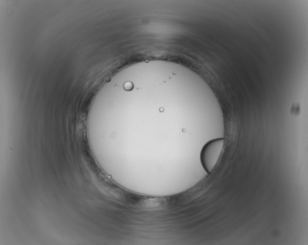 X0000112800126200908211012