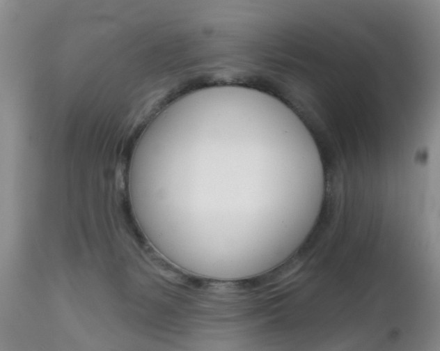 X0000112800127200908211012