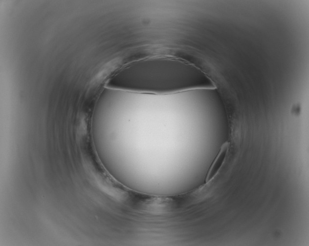 X0000112800128200908211012
