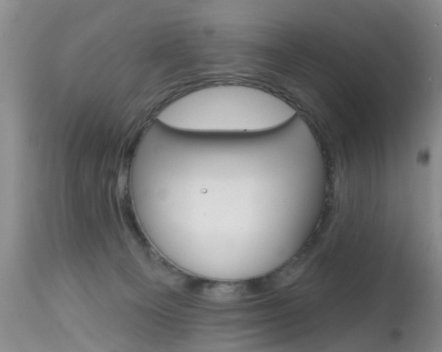 X0000112800129200908211012