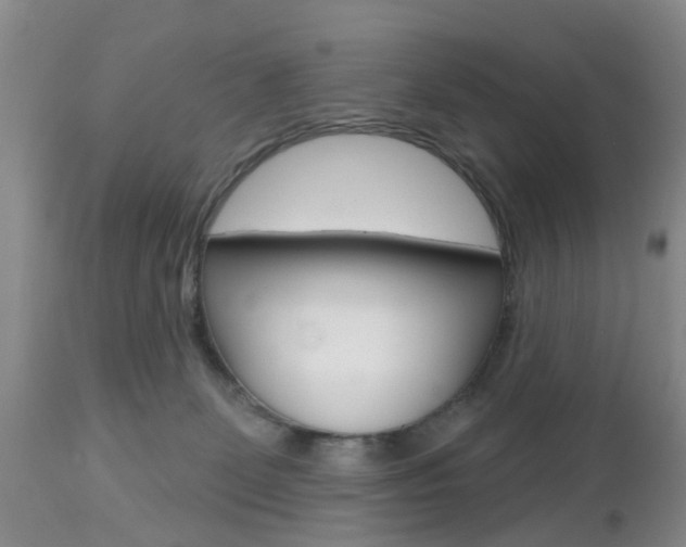 X0000112800131200908211012