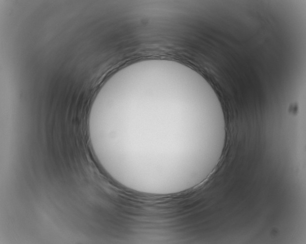 X0000112800132200908211012
