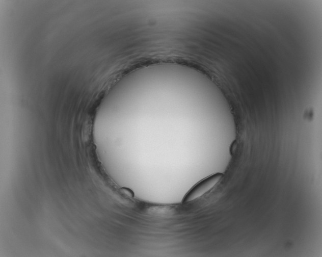 X0000112800133200908211012