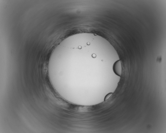 X0000112800134200908211012