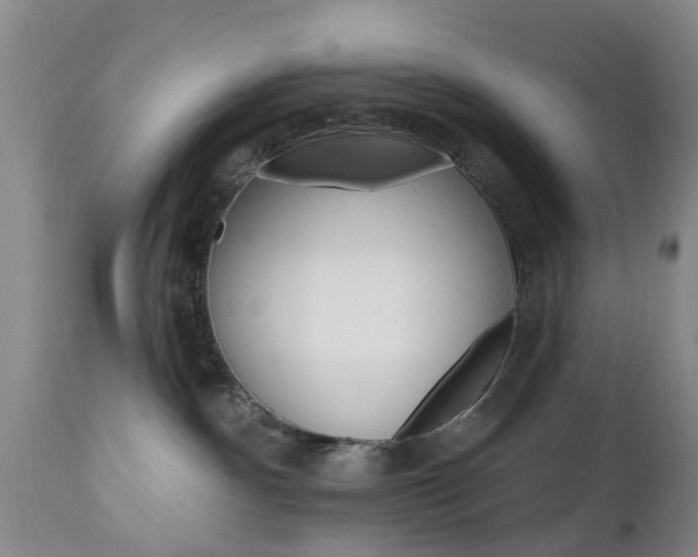 X0000112800140200908211011