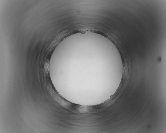 X0000112800142200908211011