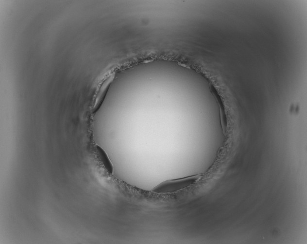 X0000112800144200908211011