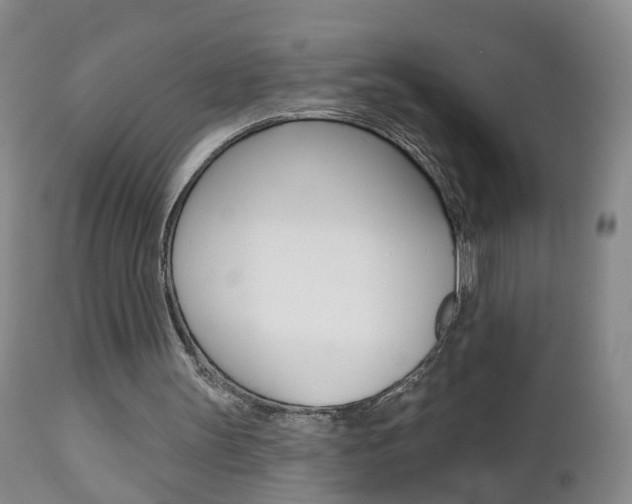 X0000112800147200908211011