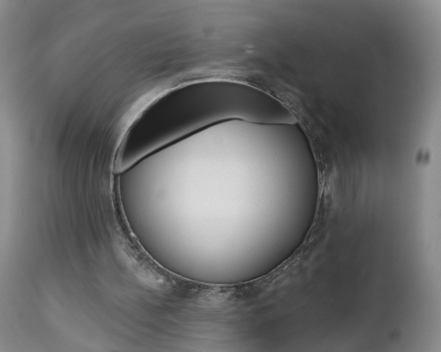 X0000112800148200908211011