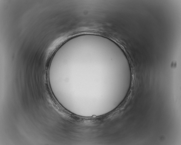 X0000112800149200908211011