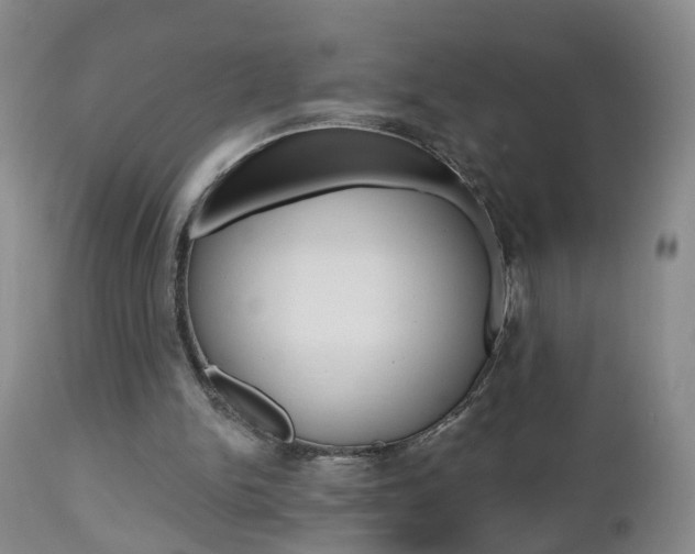 X0000112800150200908211011