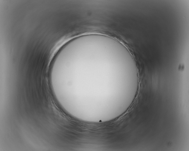 X0000112800152200908211011
